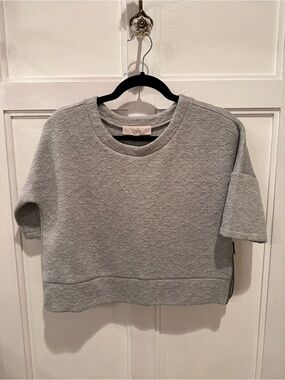 LOFT Quilted Short Sleeve Sweatshirt - Light Gray Cropped with side zipper